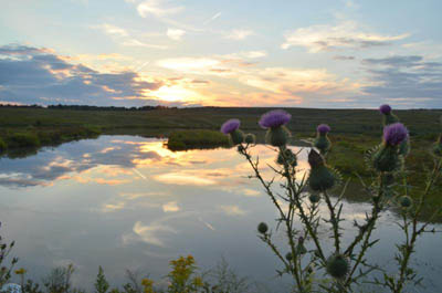 Image of Flight 93 National Memorial